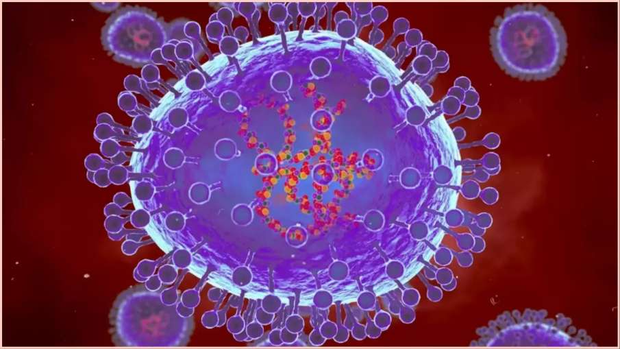 HMPV Virus